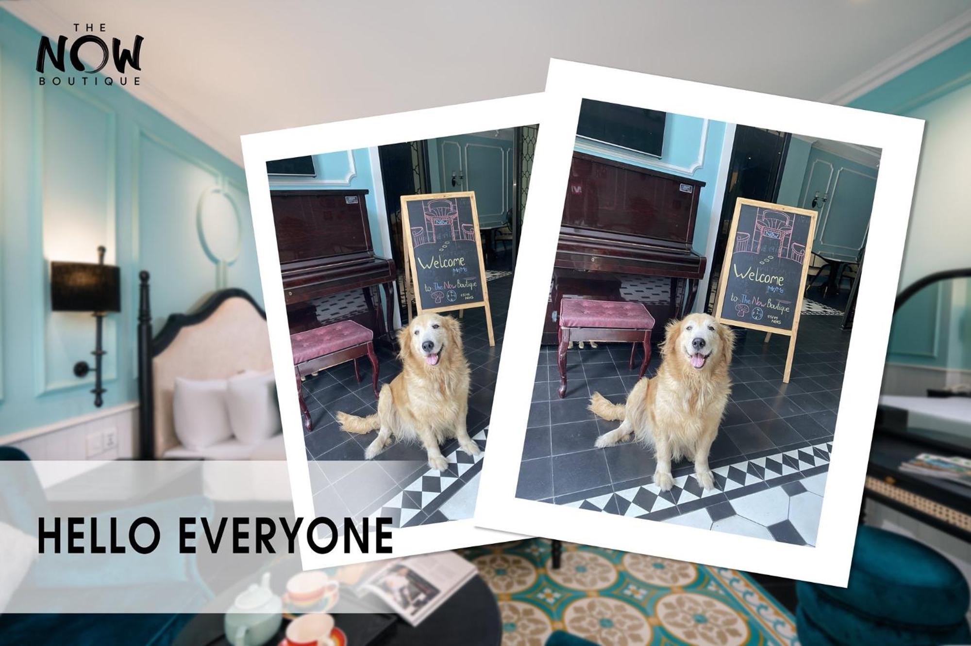 The Now Boutique Hotel Đà Nẵng Extérieur photo